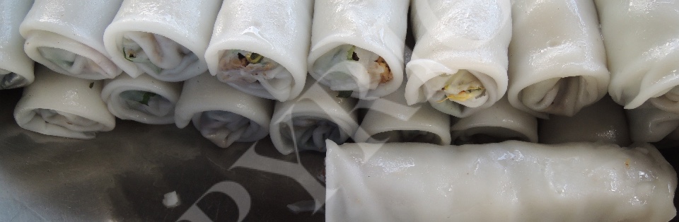 Spring Rolls